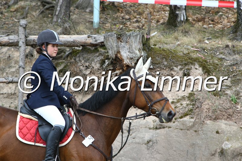 204M9824_African Music_Spring_L.JPG